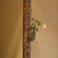 ねね - 
