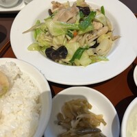 碧麗春 - 