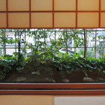 俵屋旅館 - 明日葉のお花が咲く栂へ・・