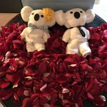 ザ・リッツ・カールトン沖縄 - 