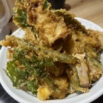 Tendon Tentamaya - 