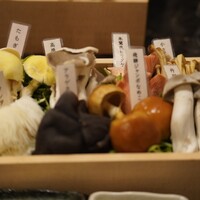 シャングリラズシークレット 銀座店 - 