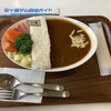 レイク サイド カフェ - 宮ケ瀬ダム放流カレー(1200円)