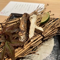 うしうらら - 