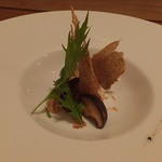 コルツ - 2013/11　王様しいたけの