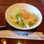 스테이크노 우에켄 - 정식 샐러드