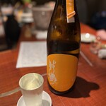 こたつ ねこ - 敷島