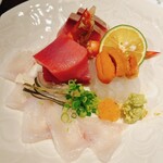 こたつ ねこ - さしもり