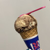 サーティワンアイスクリーム - シングルコーン(スモール)「ブッシュ ド チョコレート」