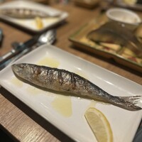 マヌエル タスカ ド ターリョ 丸の内店 - 