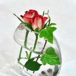 ビストロアンジュ - 