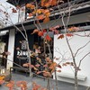 上島珈琲店 京都嵯峨嵐山店