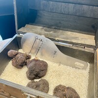 アルティザン ドゥ ラ トリュフ パリ - 