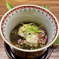 弧柳 - 
