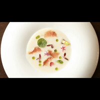 セルサルサーレ - 