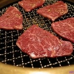 SATOブリアン - 2013　ランプ