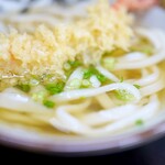 讃岐うどん いわい - 