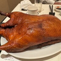 潮夢来 - 