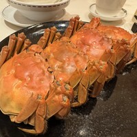 潮夢来 - 