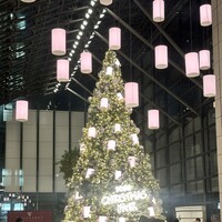 ウルフギャング・ステーキハウス 丸の内店 - お店の前のイルミネーション。クリスマス仕様