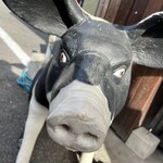 ぶた福 チャコール - 