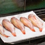 日本酒と和食 花びし - 焼く前のようすが見えるのは１階席ならでは！