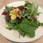 レストラン アニス - メニュー 3800円 の美しいサラダ