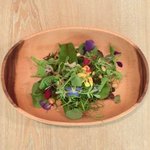 レストラン アニス - メニュー 3800円 の美しいサラダ