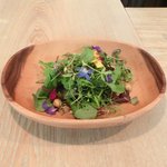 レストラン アニス - メニュー 3800円 の美しいサラダ