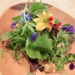 レストラン アニス - メニュー 3800円 の美しいサラダ