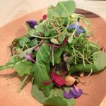 レストラン アニス - メニュー 3800円 の美しいサラダ