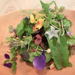 レストラン アニス - メニュー 3800円 の美しいサラダ