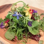 レストラン アニス - メニュー 3800円 の美しいサラダ