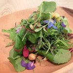 レストラン アニス - メニュー 3800円 の美しいサラダ
