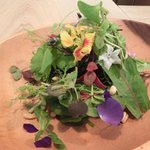 レストラン アニス - メニュー 3800円 の美しいサラダ