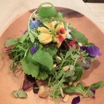 レストラン アニス - メニュー 3800円 の美しいサラダ