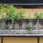 俵屋旅館 - 炭屋旅館の柘榴