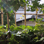 俵屋旅館 - 今日は予報も晴れ〜♬