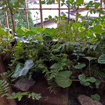 俵屋旅館 - おはようございます