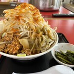 ラーメン もっけだの - 『赤の担々麺野菜マシマシ辛さマシ(辛ニラ付)+味玉』