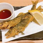 高知 アテと酒 ほたえる - 