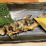 高知 アテと酒 ほたえる - 