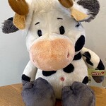 Moo - 