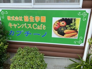 Kyampasu Kafe Kapuchi-No - 就労継続支援B型事業所なんです米倉涼子( ´∀｀)