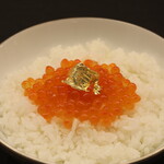 Umino Takara - 酢飯