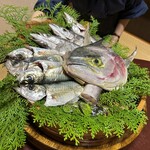 魚めし 竹亭 - 
