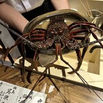 温石 - 伊勢海老