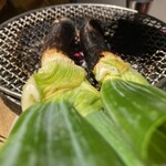 ホルモン しんちゃん - 