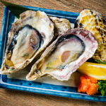 Raw Oyster