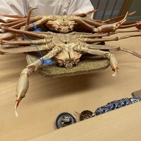 道人 - 